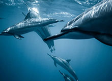 关于澳门PK10与个人信息：为什么你一填资料就会被精准盯上：最后一条一定要看