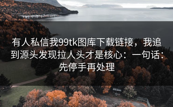 有人私信我99tk图库下载链接，我追到源头发现拉人头才是核心：一句话：先停手再处理