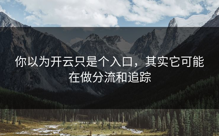 你以为开云只是个入口，其实它可能在做分流和追踪