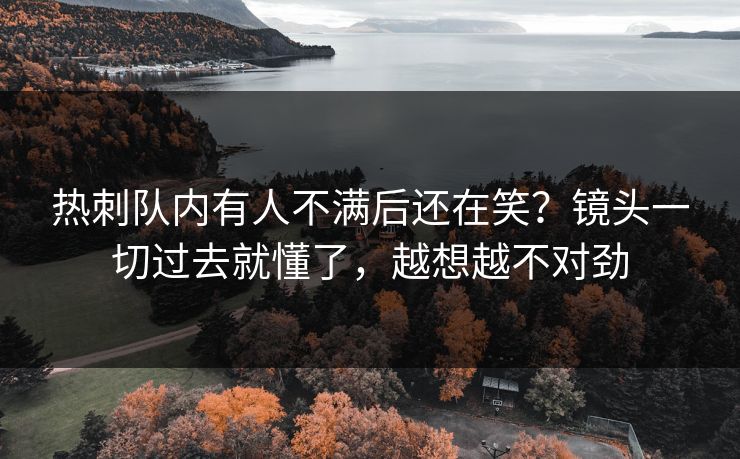 热刺队内有人不满后还在笑？镜头一切过去就懂了，越想越不对劲